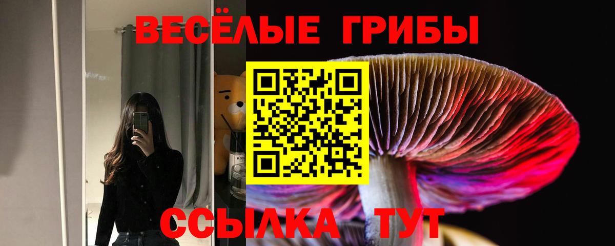 Новошахтинск  Галлюциногенные грибы мухоморы  Галлюциногенные грибы Psilocybe  Вход с VPN 